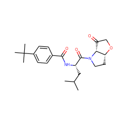 CC(C)C[C@H](NC(=O)c1ccc(C(C)(C)C)cc1)C(=O)N1CC[C@H]2OCC(=O)[C@H]21 ZINC000038331922