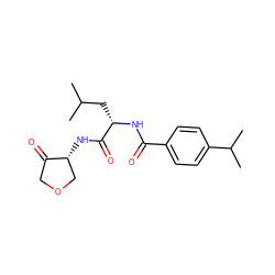 CC(C)C[C@H](NC(=O)c1ccc(C(C)C)cc1)C(=O)N[C@@H]1COCC1=O ZINC000026156356