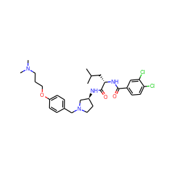 CC(C)C[C@H](NC(=O)c1ccc(Cl)c(Cl)c1)C(=O)N[C@H]1CCN(Cc2ccc(OCCCN(C)C)cc2)C1 ZINC000028477248