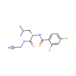 CC(C)C[C@H](NC(=O)c1ccc(Cl)cc1Cl)C(=O)NCC#N ZINC000125513562