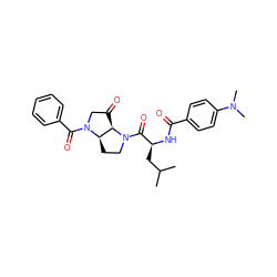 CC(C)C[C@H](NC(=O)c1ccc(N(C)C)cc1)C(=O)N1CC[C@@H]2[C@H]1C(=O)CN2C(=O)c1ccccc1 ZINC000028135628