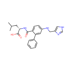 CC(C)C[C@H](NC(=O)c1ccc(NCc2c[nH]cn2)cc1-c1ccccc1)C(=O)O ZINC000013796728