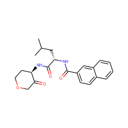 CC(C)C[C@H](NC(=O)c1ccc2ccccc2c1)C(=O)N[C@@H]1CCOCC1=O ZINC000029572022