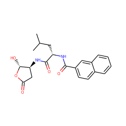 CC(C)C[C@H](NC(=O)c1ccc2ccccc2c1)C(=O)N[C@H]1CC(=O)O[C@@H]1O ZINC000013819056