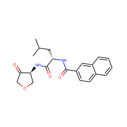 CC(C)C[C@H](NC(=O)c1ccc2ccccc2c1)C(=O)N[C@H]1COCC1=O ZINC000003994896