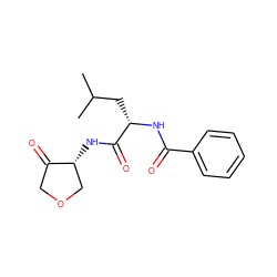 CC(C)C[C@H](NC(=O)c1ccccc1)C(=O)N[C@@H]1COCC1=O ZINC000029568761