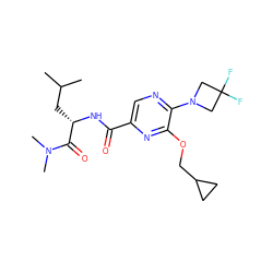 CC(C)C[C@H](NC(=O)c1cnc(N2CC(F)(F)C2)c(OCC2CC2)n1)C(=O)N(C)C ZINC000207358281