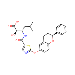 CC(C)C[C@H](NC(=O)c1cnc(Oc2ccc3c(c2)CC[C@@H](c2ccccc2)O3)s1)[C@@H](O)C(=O)O ZINC000145514817