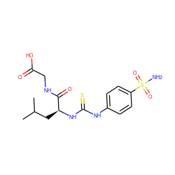 CC(C)C[C@H](NC(=S)Nc1ccc(S(N)(=O)=O)cc1)C(=O)NCC(=O)O ZINC000013835668