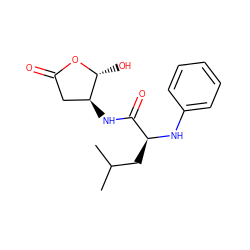 CC(C)C[C@H](Nc1ccccc1)C(=O)N[C@H]1CC(=O)O[C@@H]1O ZINC000013819191