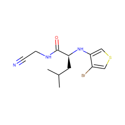 CC(C)C[C@H](Nc1cscc1Br)C(=O)NCC#N ZINC000028374480