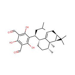 CC(C)C[C@H](c1c(O)c(C=O)c(O)c(C=O)c1O)[C@H]1CC[C@@H](C)[C@@]2(C)C1=CC[C@@H]1[C@H]2C1(C)C ZINC001772612974