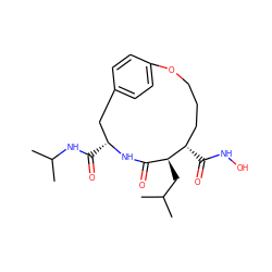 CC(C)C[C@H]1C(=O)N[C@H](C(=O)NC(C)C)Cc2ccc(cc2)OCCC[C@@H]1C(=O)NO ZINC000026643530