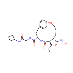 CC(C)C[C@H]1C(=O)N[C@H](C(=O)NCC(=O)NC2CCC2)Cc2ccc(cc2)OCCC[C@@H]1C(=O)NO ZINC000026580131