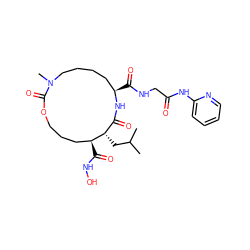 CC(C)C[C@H]1C(=O)N[C@H](C(=O)NCC(=O)Nc2ccccn2)CCCCN(C)C(=O)OCCC[C@@H]1C(=O)NO ZINC000026647604