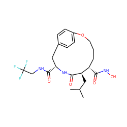 CC(C)C[C@H]1C(=O)N[C@H](C(=O)NCC(F)(F)F)Cc2ccc(cc2)OCCC[C@@H]1C(=O)NO ZINC000026579985