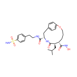 CC(C)C[C@H]1C(=O)N[C@H](C(=O)NCCc2ccc(S(N)(=O)=O)cc2)Cc2ccc(cc2)OCCC[C@@H]1C(=O)NO ZINC000026638472