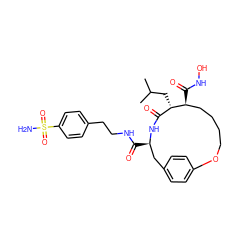 CC(C)C[C@H]1C(=O)N[C@H](C(=O)NCCc2ccc(S(N)(=O)=O)cc2)Cc2ccc(cc2)OCCCC[C@@H]1C(=O)NO ZINC000026181424