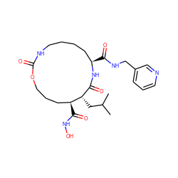 CC(C)C[C@H]1C(=O)N[C@H](C(=O)NCc2cccnc2)CCCCNC(=O)OCCC[C@@H]1C(=O)NO ZINC000026578057