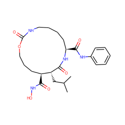 CC(C)C[C@H]1C(=O)N[C@H](C(=O)Nc2ccccc2)CCCCNC(=O)OCCC[C@@H]1C(=O)NO ZINC000026579090