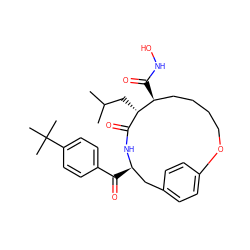 CC(C)C[C@H]1C(=O)N[C@H](C(=O)c2ccc(C(C)(C)C)cc2)Cc2ccc(cc2)OCCCC[C@@H]1C(=O)NO ZINC000026968317