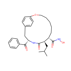 CC(C)C[C@H]1C(=O)N[C@H](C(=O)c2ccccc2)Cc2ccc(cc2)OCCCCC[C@@H]1C(=O)NO ZINC000003821630