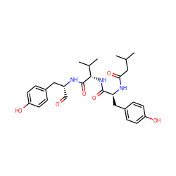 CC(C)CC(=O)N[C@@H](Cc1ccc(O)cc1)C(=O)N[C@H](C(=O)N[C@H](C=O)Cc1ccc(O)cc1)C(C)C ZINC000014806897