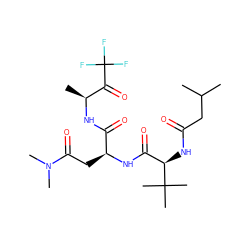 CC(C)CC(=O)N[C@H](C(=O)N[C@@H](CC(=O)N(C)C)C(=O)N[C@@H](C)C(=O)C(F)(F)F)C(C)(C)C ZINC000013775850