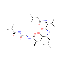 CC(C)CC(=O)N[C@H](C(=O)N[C@@H](CC(C)C)[C@@H](O)C[C@@H](C)C(=O)NCC(=O)NC(=O)C(C)C)C(C)C ZINC000027216486