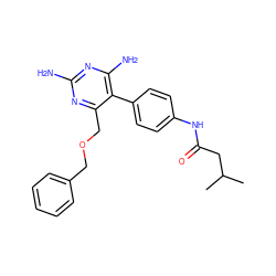 CC(C)CC(=O)Nc1ccc(-c2c(N)nc(N)nc2COCc2ccccc2)cc1 ZINC000014970702