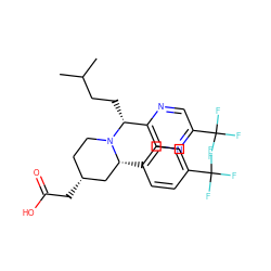 CC(C)CC[C@H](c1cnc(C(F)(F)F)cn1)N1CC[C@@H](CC(=O)O)C[C@H]1c1ccc(C(F)(F)F)cc1 ZINC000045355164