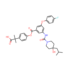 CC(C)CC1(O)CCN(C(=O)Nc2cc(Oc3ccc(F)cc3)cc(C(=O)Oc3ccc(C(C)(C)C(=O)O)cc3)c2)CC1 ZINC000205284996