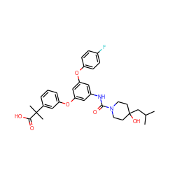 CC(C)CC1(O)CCN(C(=O)Nc2cc(Oc3ccc(F)cc3)cc(Oc3cccc(C(C)(C)C(=O)O)c3)c2)CC1 ZINC000224433644