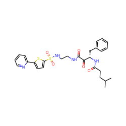 CC(C)CCC(=O)N[C@@H](Cc1ccccc1)C(=O)C(=O)NCCNS(=O)(=O)c1ccc(-c2ccccn2)s1 ZINC000026404041