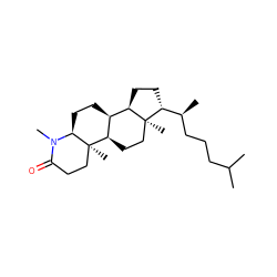 CC(C)CCC[C@H](C)[C@H]1CC[C@@H]2[C@@H]3CC[C@@H]4N(C)C(=O)CC[C@]4(C)[C@@H]3CC[C@]12C ZINC000027213341