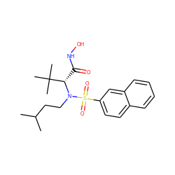 CC(C)CCN([C@@H](C(=O)NO)C(C)(C)C)S(=O)(=O)c1ccc2ccccc2c1 ZINC000073387835