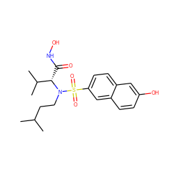 CC(C)CCN([C@@H](C(=O)NO)C(C)C)S(=O)(=O)c1ccc2cc(O)ccc2c1 ZINC000073196616