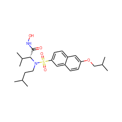 CC(C)CCN([C@@H](C(=O)NO)C(C)C)S(=O)(=O)c1ccc2cc(OCC(C)C)ccc2c1 ZINC000073195731