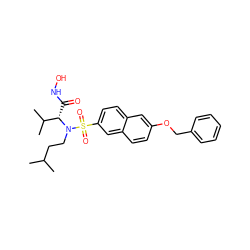 CC(C)CCN([C@@H](C(=O)NO)C(C)C)S(=O)(=O)c1ccc2cc(OCc3ccccc3)ccc2c1 ZINC000073166416