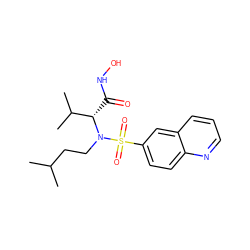 CC(C)CCN([C@@H](C(=O)NO)C(C)C)S(=O)(=O)c1ccc2ncccc2c1 ZINC000073169693