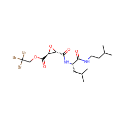 CC(C)CCNC(=O)[C@H](CC(C)C)NC(=O)[C@H]1O[C@@H]1C(=O)OCC(Br)(Br)Br ZINC000026167784