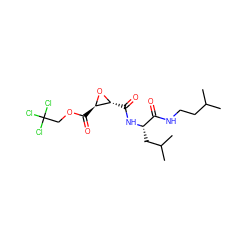 CC(C)CCNC(=O)[C@H](CC(C)C)NC(=O)[C@H]1O[C@@H]1C(=O)OCC(Cl)(Cl)Cl ZINC000013650618