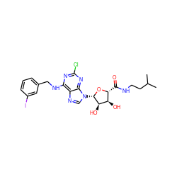 CC(C)CCNC(=O)[C@H]1O[C@@H](n2cnc3c(NCc4cccc(I)c4)nc(Cl)nc32)[C@H](O)[C@@H]1O ZINC000096900863