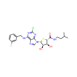 CC(C)CCNC(=O)[C@H]1S[C@@H](n2cnc3c(NCc4cccc(I)c4)nc(Cl)nc32)[C@H](O)[C@@H]1O ZINC000028563941