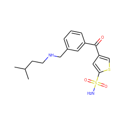 CC(C)CCNCc1cccc(C(=O)c2csc(S(N)(=O)=O)c2)c1 ZINC000013727872