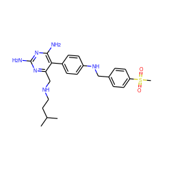 CC(C)CCNCc1nc(N)nc(N)c1-c1ccc(NCc2ccc(S(C)(=O)=O)cc2)cc1 ZINC000036349157