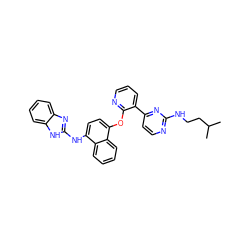 CC(C)CCNc1nccc(-c2cccnc2Oc2ccc(Nc3nc4ccccc4[nH]3)c3ccccc23)n1 ZINC000299840103