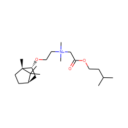 CC(C)CCOC(=O)C[N+](C)(C)CCO[C@@H]1C[C@H]2CC[C@@]1(C)C2(C)C ZINC000169300003