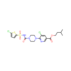 CC(C)CCOC(=O)c1cnc(N2CCN(C(=O)NS(=O)(=O)c3ccc(Cl)s3)CC2)c(Cl)c1 ZINC000096272859