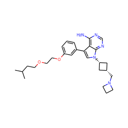 CC(C)CCOCCOc1cccc(-c2cn([C@H]3C[C@@H](CN4CCC4)C3)c3ncnc(N)c23)c1 ZINC000653723557